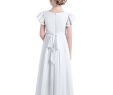 $2000 Wedding Dress Elegant Castle Fairy Flower Girl Dress Chiffon Flutter Sleeve Holy