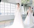 2017 Fall Wedding Dresses Inspirational Wedding Dresses Marchesa Bridal Fall 2018 Inside Weddings