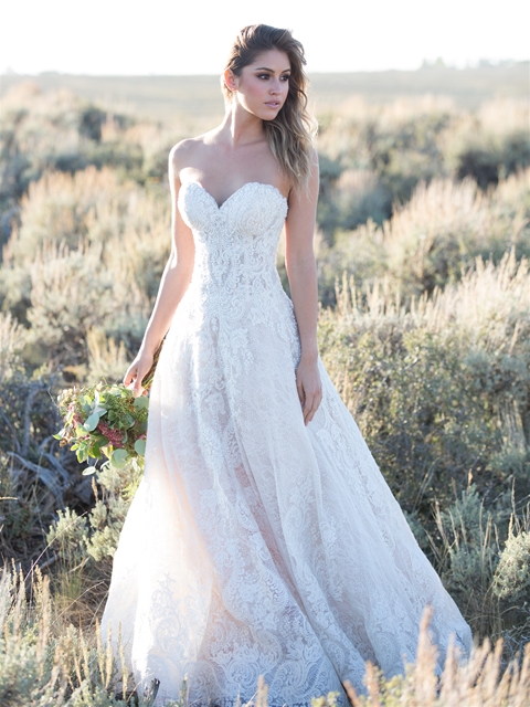 allure couture bridal collection