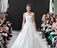 Amasale Wedding Dresses Lovely Amsale Bridal Spring 2019 Fashion Show