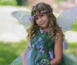 Anniversary Dress Ideas Inspirational Meadow Fairy Dress and Tiara Wings and Wand Set Made with