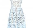 Azaelea Dresses Elegant Lace Strap Dress Self Portrait Vitkac Shop Online