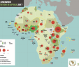 Azazie Coupon Code Fresh Africa Nutrition Map Ibrahim Mayaki