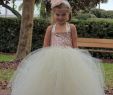 Baby Girl Dresses for Wedding Fresh Light Pink Sequin Tutu Dress Sequin Flower Girl Dress