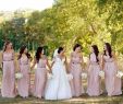 Barn Wedding Bridesmaid Dresses Luxury A White & Gold Rustic orchard Wedding In Illinois Inside