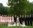 Black and Blush Wedding Beautiful Wedding Party Black and Light Pink Wedding and Reception