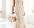 Blush Bridal Gown New Will A Champagne Wedding Dress Match Blush Colored