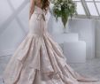Blush Colored Wedding Gown Luxury Blush Colored Wedding Gowns Beautiful Wedding Dresses Re