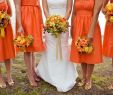 Burnt orange Wedding Dresses Awesome orange Sherbet Wedding Color Binations