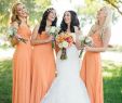 Burnt orange Wedding Dresses Beautiful Blush and Peach Rustic Romance Wedding