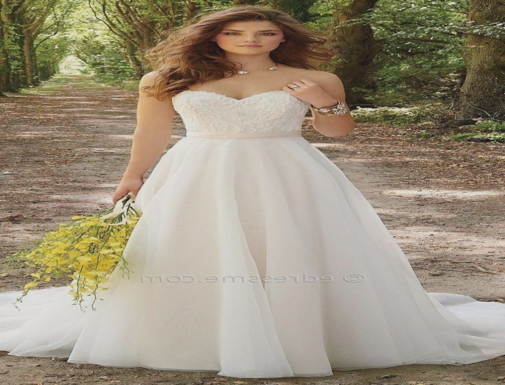 awesome corset organza wedding dress by camille la vie