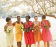 Canary Yellow Bridesmaid Dresses Awesome Citrus Colored Ombre Bridesmaids