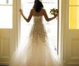 Carolina Herrera Wedding Dresses Luxury Carolina Herrera Eva Size 8