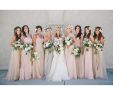 Champagne Colored Bridesmaid Dress Awesome Bride with Bridesmaids In Coloured Dresses