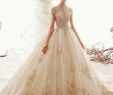 Champagne Wedding Dresses with Sleeves Lovely Champagne Ball Gown Tulle Appliques High Neck Cap Sleeve