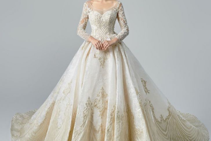 Champagne Wedding Dresses with Sleeves Lovely Luxury Gorgeous Champagne See Through Wedding Dresses 2019