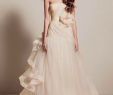 Champagne Wedding Gown Fresh Vera Wang Blush & Champagne Wedding Gown