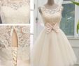 Cheap Plus Size Short Wedding Dresses Unique Discount Charming Champagne New Arrival Short Wedding Dresses Sheer Crew Neck Sleeveless Knee Length Tulle Bridal Gown Keyhole Lace Up Back Bow Sash