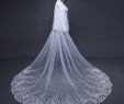 Cheap Wedding Accessories Awesome 3m Long Wedding Veil top Quality Lace with Applique 3m 3m Bridal Veils Wedding Accessories Wedding Veil with B 2 Layers Cheap Wedding Veil