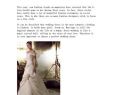 Cheap Wedding Dresses Uk Elegant Cheap Wedding Dresses Notts Dressoutletstore by