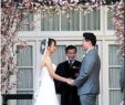 Cherry Blossom Wedding Dresses Beautiful Cherry Blossom Branches On Arbor Colleen L