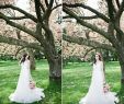 Cherry Blossom Wedding Dresses Fresh Monique Lhuillier Promise Cherry Blossom Stylized Shoot