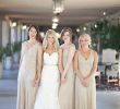 Coral Gables Wedding Dresses Unique Lovely Gold Dresses for the Bridesmaids and A Gold Belt for