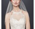 David Bridal.com Awesome Jewel Lace and Tulle Illusion Neck Wedding Dress Style