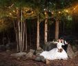 Discount Wedding Dresses Charlotte Nc New 20 Best Outdoor Wedding Venues In Charlotte Nc