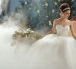 Disney Wedding Dresses 2017 Awesome Disney Princess Wedding Dresses by Alfred Angelo