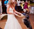 Dog Wedding Dresses Beautiful 14 Awesome Ways to Include Your Dog Your Big Day