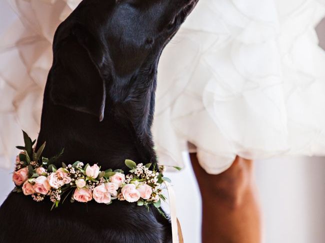Dog Wedding Dresses Elegant Mint Gold and Pink Spring Wedding Inspiration