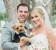 Dog Wedding Dresses Lovely Couple Wedding Pet Tuxedo Wedding Pet Outfits An