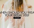 Dog Wedding Dresses Lovely Inside Weddings Wedding Planning Wedding Ideas Real