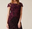Dresses to Wear for A Wedding Luxury Special Occasion Dresses Phase Eight