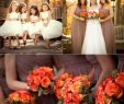 Fall Outdoor Wedding Dresses Lovely Whiteazalea Destination Dresses Wedding Dresses for Fall