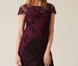 Fall Wedding Guest Dresses with Sleeves Beautiful Special Occasion Dresses Phase Eight