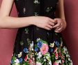 Floral Dresses for Wedding Guests Awesome Skater Dress with Floral Daisy Print Bold Floral Print