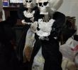 Free Stuff for Brides Fresh 20” Skeleton Bride & Groom Gothic Halloween Prop