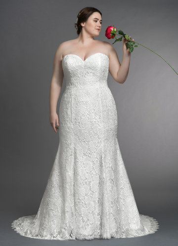 Informal Plus Size Wedding Dresses Elegant Plus Size Wedding Dresses Bridal Gowns Wedding Gowns