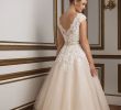 Ivory Tea Length Wedding Dresses Elegant Style 8815 Vintage Inspired Champagne Tulle Tea Length