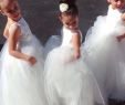 Kids Wedding Dresses Fresh Flower Girl Dresses In Various Colors & Styles