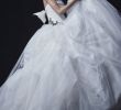 Lace and Sheer Wedding Dresses Fresh Vera Wang