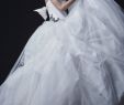 Lace and Sheer Wedding Dresses Fresh Vera Wang