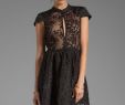 Lace Dress for Sale New Cameo Say It Right Dress In Black Ladies