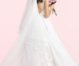 Lace Wedding Dresses Plus Size Beautiful Veils