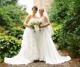 Lesbian Wedding Dresses Awesome Wedding Amazing Dress Lesbian Wedding Photography