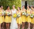 Light Yellow Bridesmaid Dresses Luxury Pale Yellow Bridesmaid Dresses