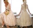 Macy's Wedding Guest Dresses Plus Size Elegant 23 David S Bridal Wedding Guest Dresses Stunning