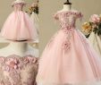 Macys Wedding Dresses Elegant Modern 3d Floral Lace Blush Pink Flower Girl Dresses for Wedding Dresses 2018 Real Image F Shoulder First Munion Birthday Party Gowns Flower Girl